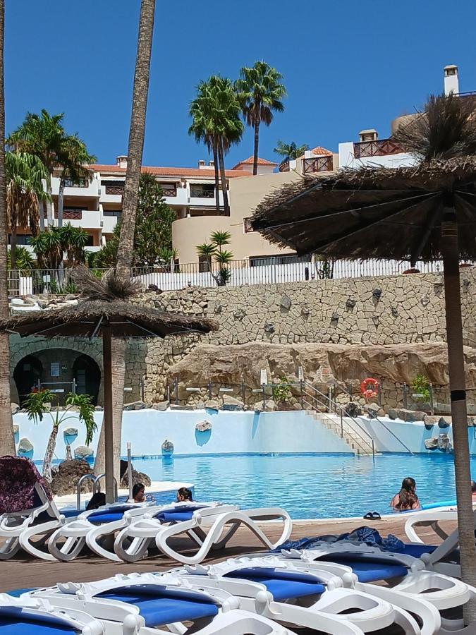 Chillout Studio Albatros In Toller Anlage Mit Pool San Miguel de Abona Zewnętrze zdjęcie